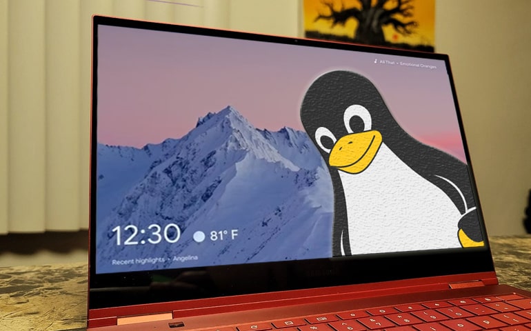 Install Linux Apps on Chromebook
